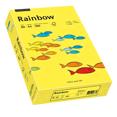 Papper Rainbow A4 80g 500st/fp