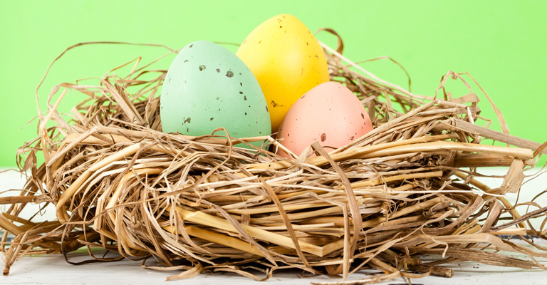 Ett fågelbo med tre färgglada ägg som står på ett bord med en grön bakgrund.,