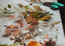 Utspridda höstlöv och blommor på ett vitt bord. Övriga föremål som sax, ett transparent plastlock och glasburkar är placerade på bordet.  