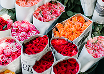 Flera buketter av färgglada rosor inslagna i papper som står i vattenfyllda hinkar, med nyanser av rosa, orange och rött.