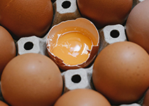 Flera stycken bruna ägg, ett ägg är kläckt och avslöjar en klargul äggula. Äggen ligger i en grå kartongförpackning. 