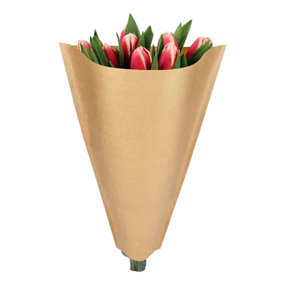 Blomstrut brun kraft 60x35x10cm 50st