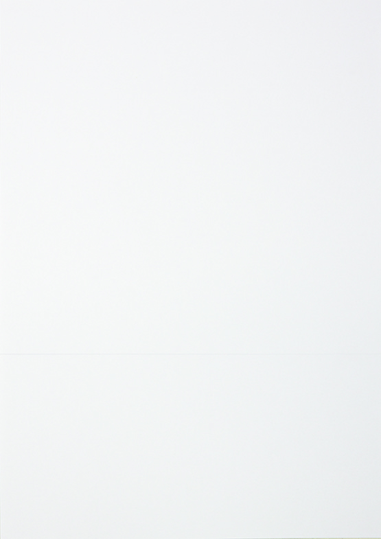 Standardblankett Otryckt+4 talong 2500st/fp