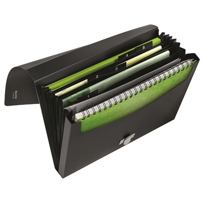 Projektmapp Leitz re:cycled Svart