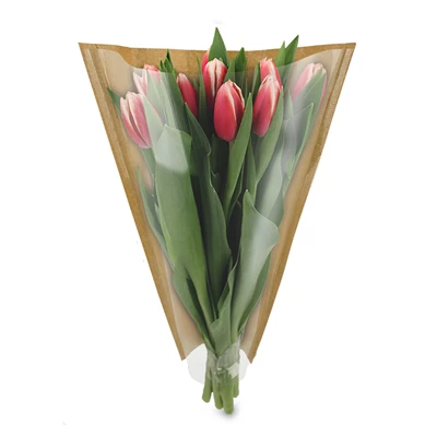 Blomstrut brun kraft baksida + OPP 40x30x12cm 50st