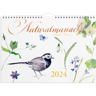 Väggkalender 2024 Naturalmanacka