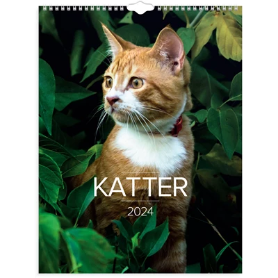 Väggkalender 2024 Stora Kattkalendern