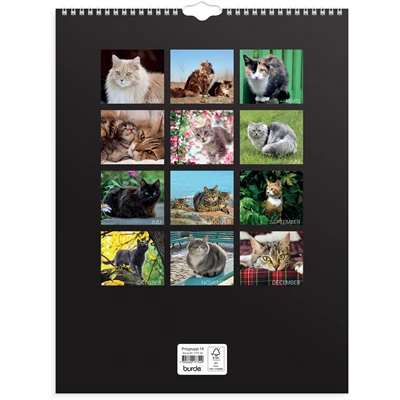 Väggkalender 2024 Stora Kattkalendern