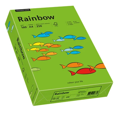 Papper Rainbow A4 160 g intensivgrön 250st/fp