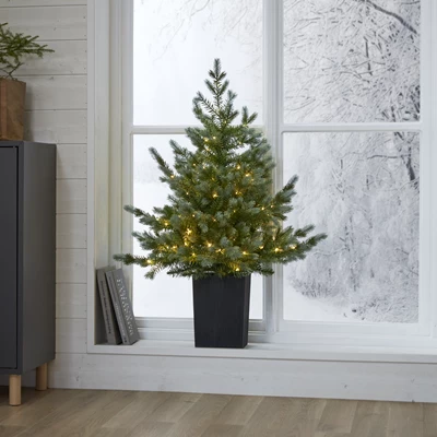 Julgran i Svartkruka med 80 LED-lampor 70x95cm