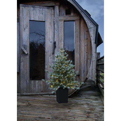 Julgran i Svartkruka med 80 LED-lampor 70x95cm