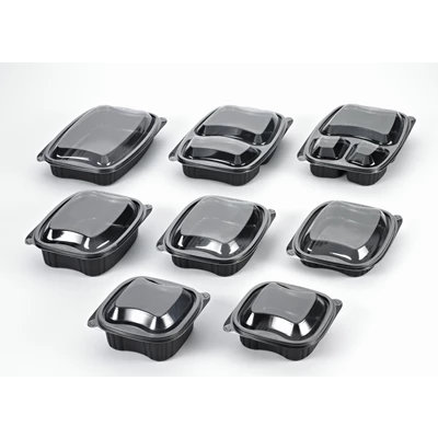 Lock Microform Bistro 500-700ml Transp PP 300st