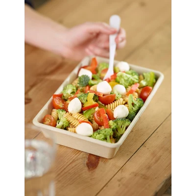 Box Bagasse 1-fack 850ml Brun 480st/kolli