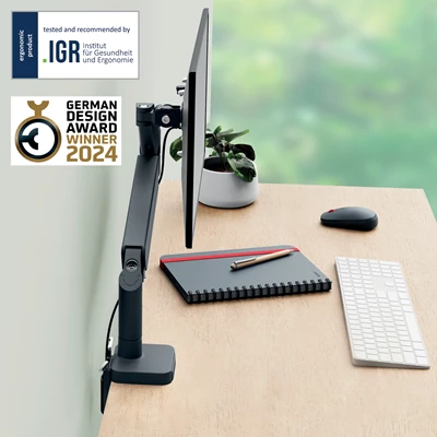 Monitorarm Leitz Ergo Singel Grå