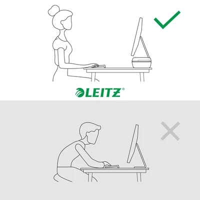 Bildskärmsstativ Leitz Ergo Mörkgrå