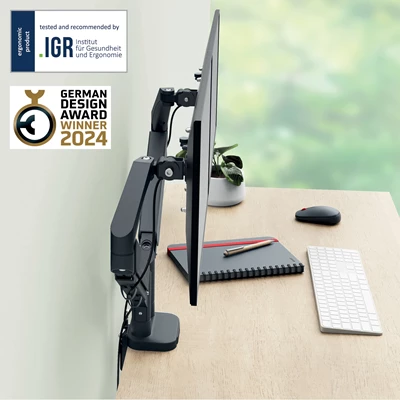 Monitorarm Leitz Ergo Dubbel Grå