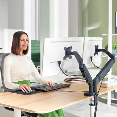 Monitorarm Leitz Ergo Dubbel Grå