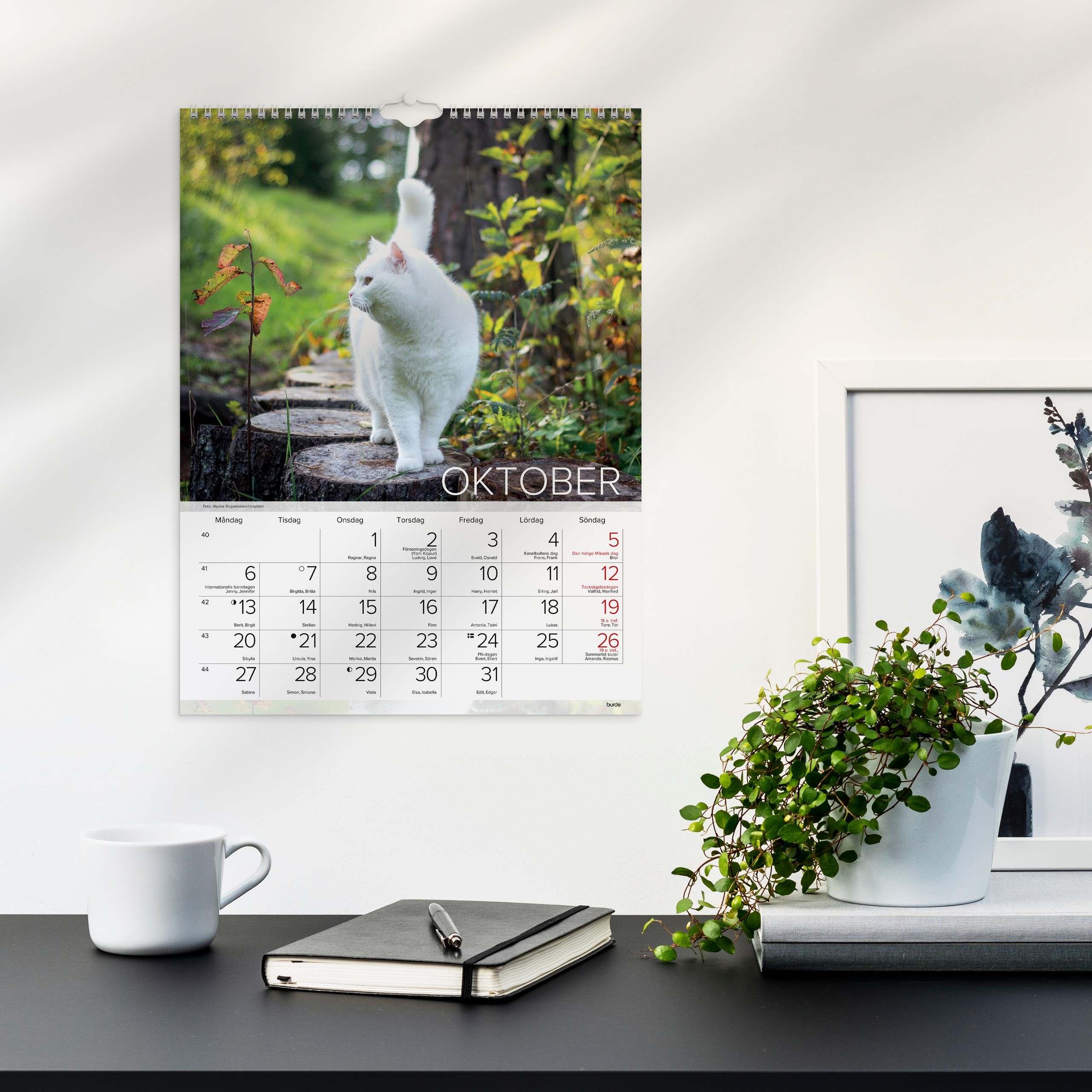 Väggkalender 2025 Stora Kattkalendern Carepa