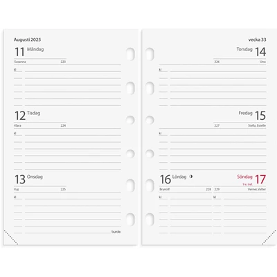 Systemkalender 2025 Compact Brunt skinn