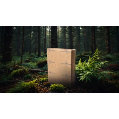 Kopieringspapper Hylte Eco A4 Hålat 70g 500ark/fp