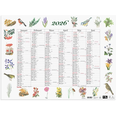Väggkalender 2026 Stora Naturalmanackan