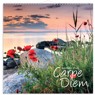 Väggkalender 2026 Carpe Diem