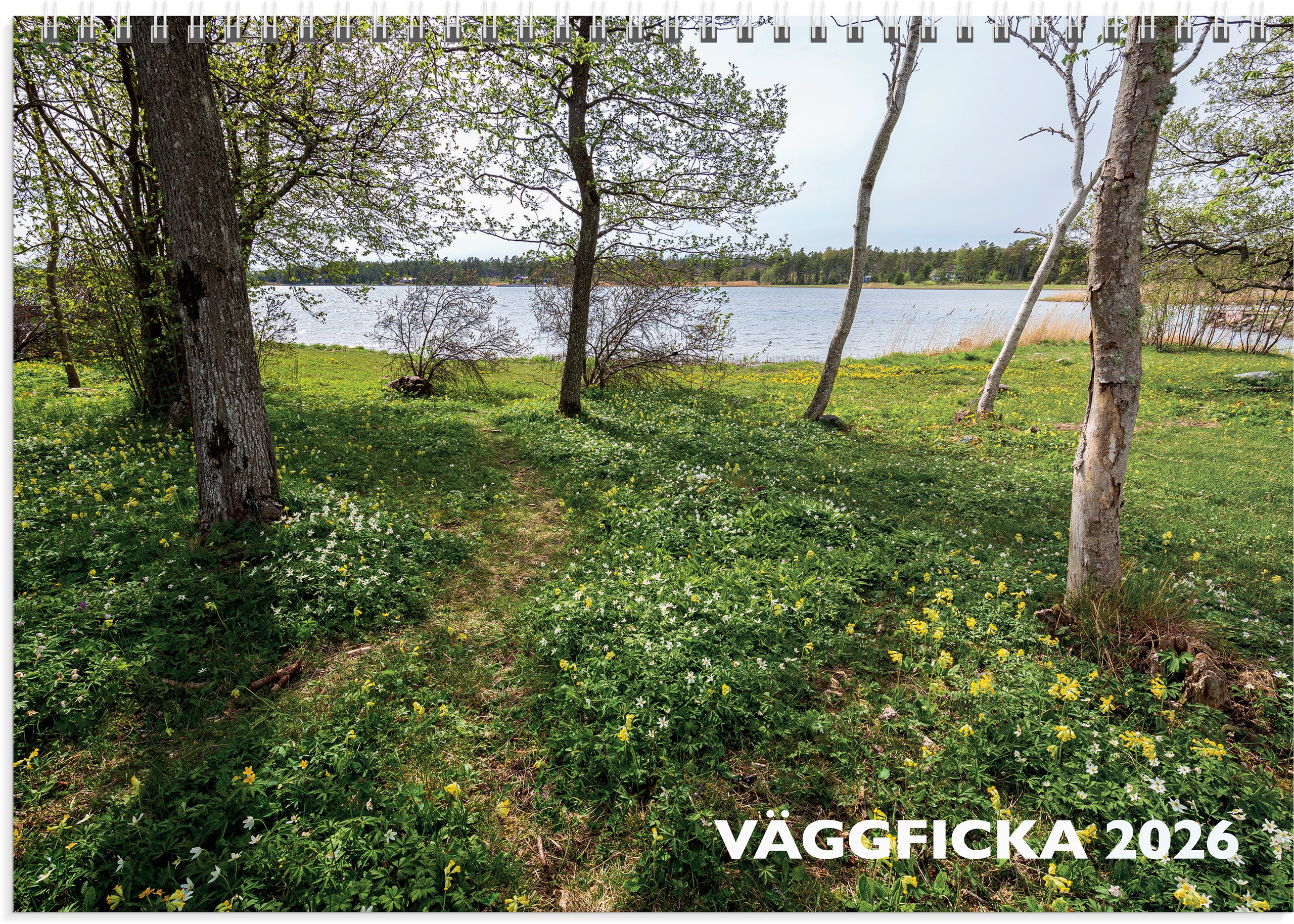 Väggkalender 2026 Väggficka