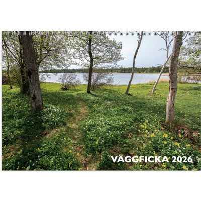 Väggkalender 2026 Väggficka