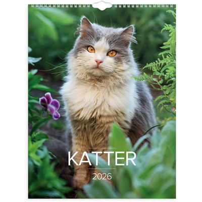 Väggkalender 2026 Stora Kattkalendern