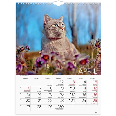 Väggkalender 2026 Stora Kattkalendern