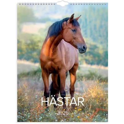 Väggkalender 2026 Stora Hästkalendern