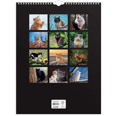 Väggkalender 2026 Stora Kattkalendern