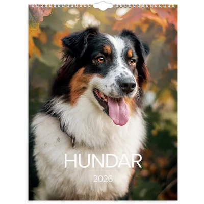 Väggkalender 2026 Stora Hundkalendern