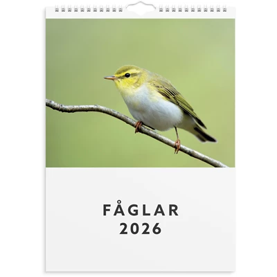 Väggkalender 2026 Fåglar