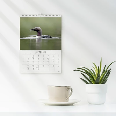 Väggkalender 2026 Fåglar