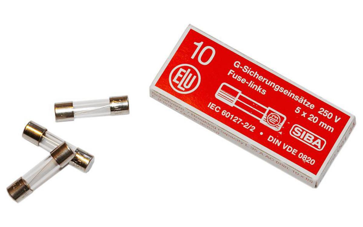 Säkring Fin 1,6A 5x20mm Trög 10st/fp