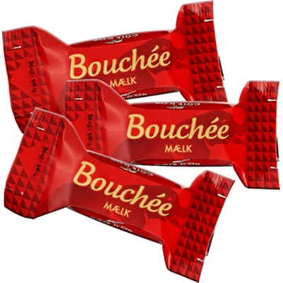 Elefant Bouchée 48x25 g
