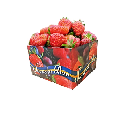 Bärnalle papper 1L Svenska Bär 110x110x70mm 1000st