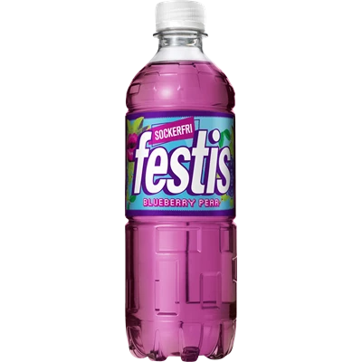 Festis Blueberry Pear Sockerfri 50cl PET 12st