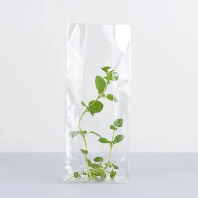 Cellofanpåse SOS 120x70x370 100st/fp