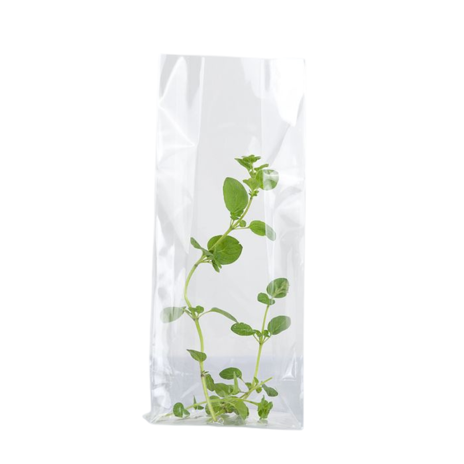 Cellofanpåse SOS 120x70x370 100st/fp