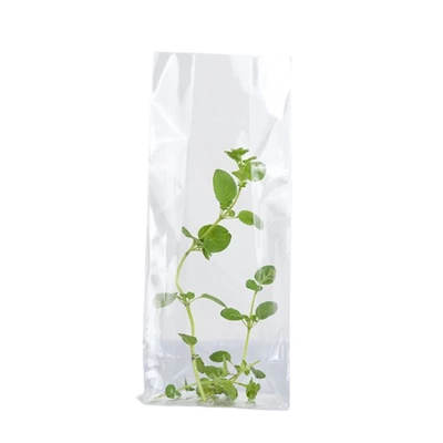 Cellofanpåse SOS 120x70x370 100st/fp