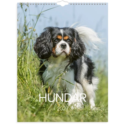 Väggkalender 2027 Stora Hundkalendern