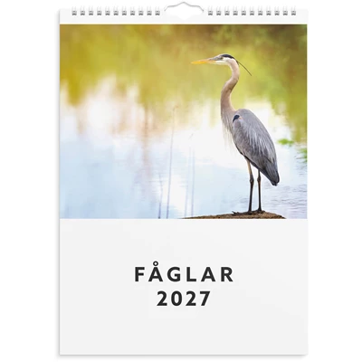Väggkalender 2027 Fåglar