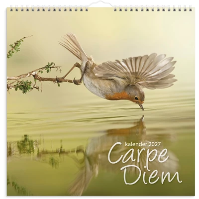 Väggkalender 2027 Carpe Diem