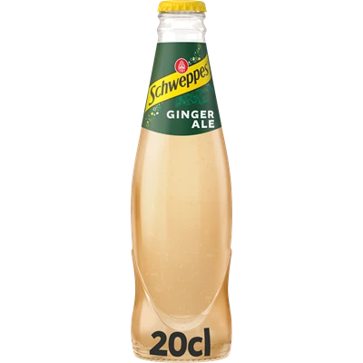Schweppes Ginger Ale 20cl EG 24st/kolli